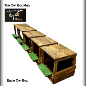 Eagle Owl Habitat Box