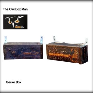 Gecko Habitat