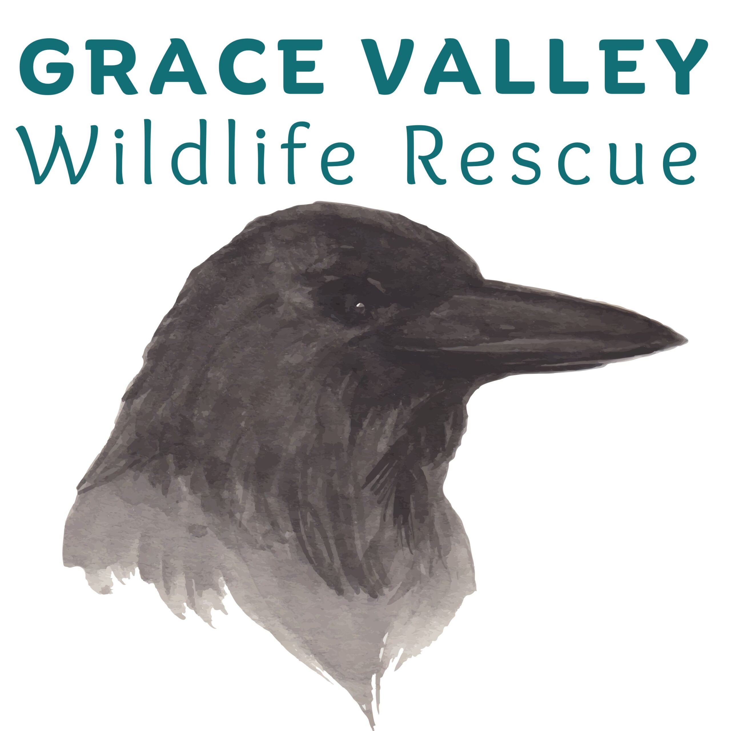 Donate to our Wildlife First Response Service