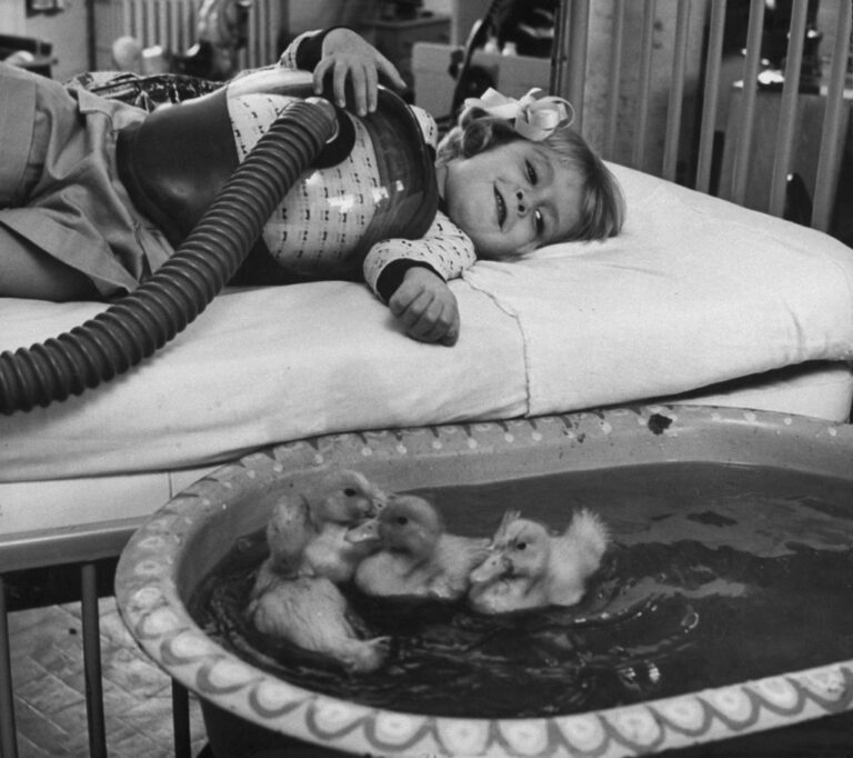 Animal Assisted Healing