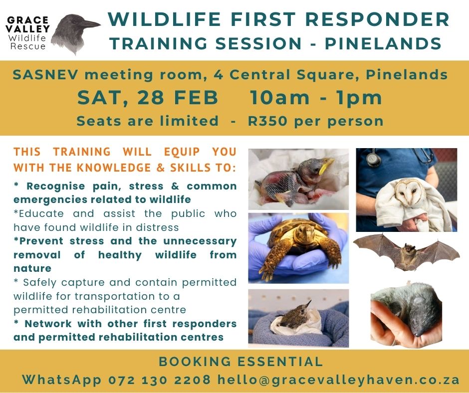 Wildlife First Responder Training Sat 28 February 10am - 1pm Pinelands, Cape Town