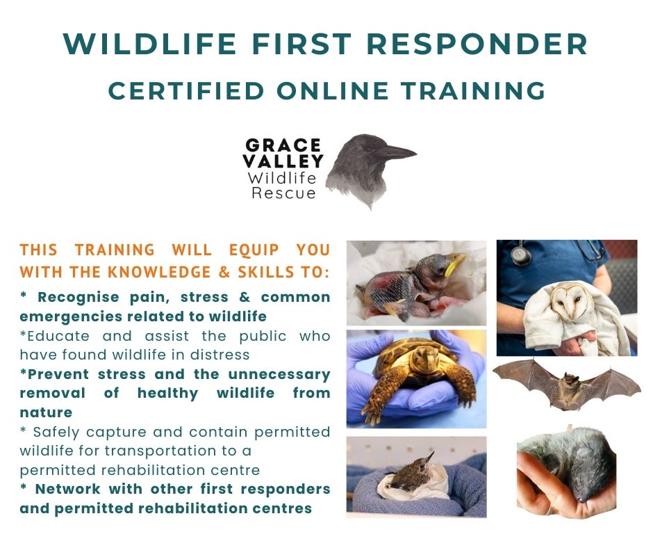 Certified Wildlife First Responder Training