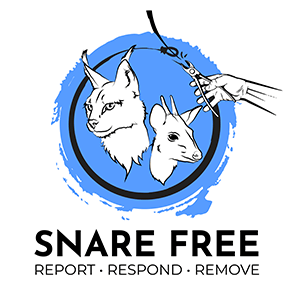 Snare Free Project