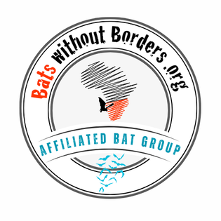 Bats Without Borders
