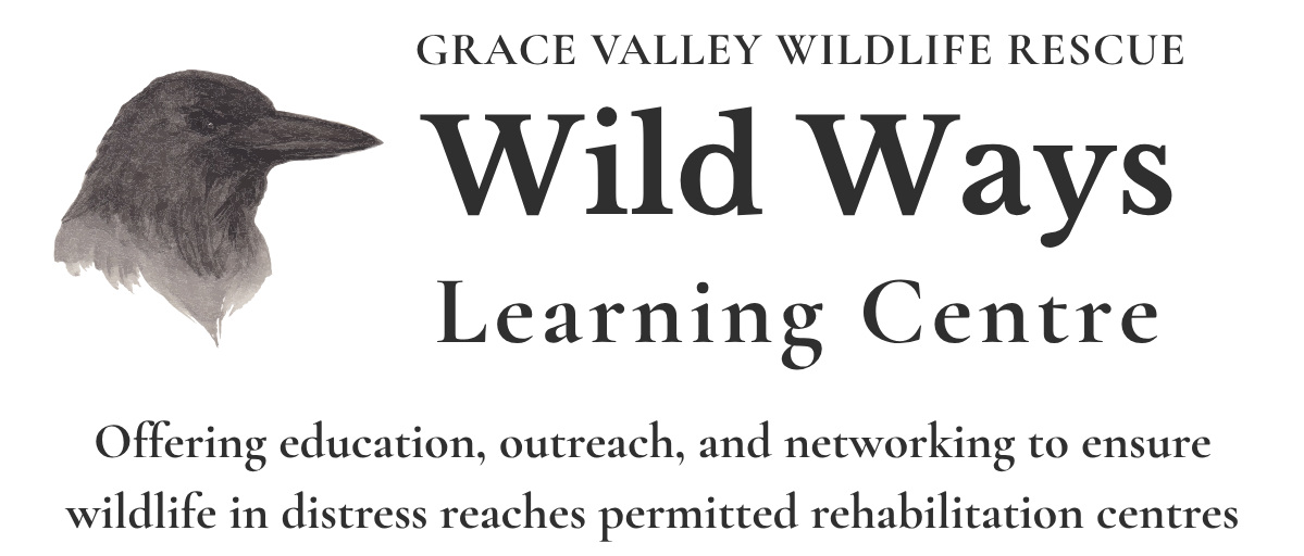Wild Ways Learning Centre