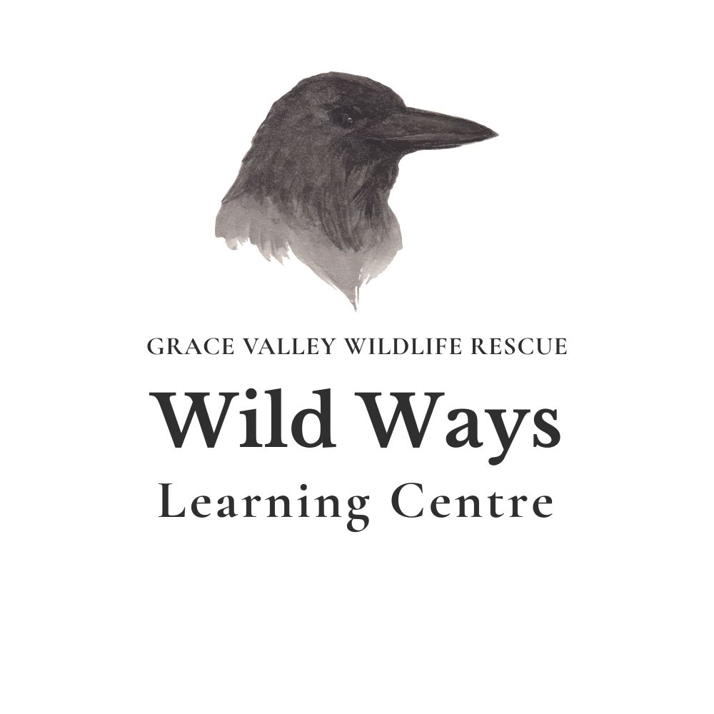 Wild Ways Learning Centre